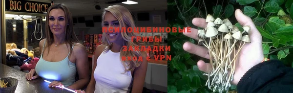 прущие грибы Алексеевка