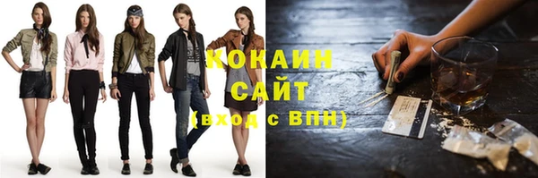 молекула духа Алексин