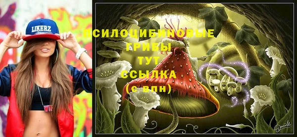 прущие грибы Алексеевка